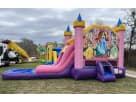 Texas Disney Princess Bounce House Combo Rental