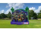 Ninja Turtles Bounce House Combo Rental