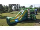Palm Tree Bounce House Combo Rental
