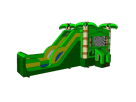 Palm Tree Water Slide Combo