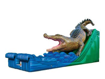 King Croc Wet/Dry Slide 