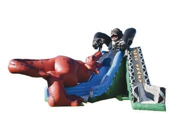 Kongo Crazy T-Rex Double Slide