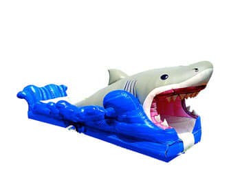 Shark Slip and Slide