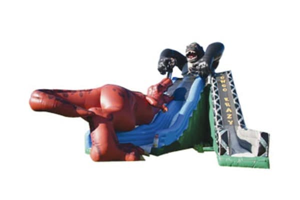 Kongo Crazy T-Rex Double Slide