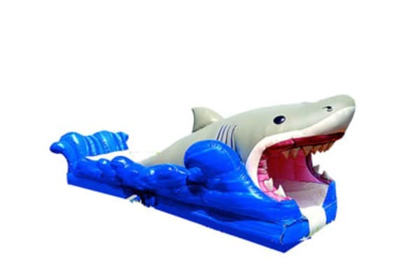 Shark Slip and Slide