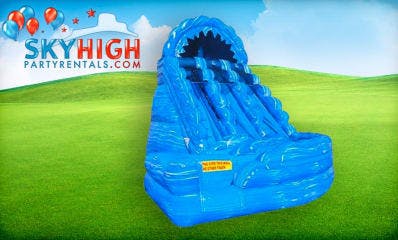 Inflatable Houston Dual Lane Slide