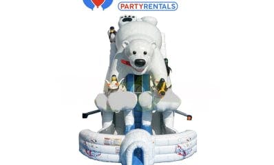 Winter Party Rentals for Christmas