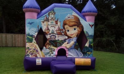 Sofia the First kids parties