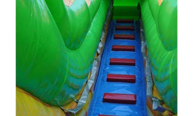 18ft Rent a Double Lane Palm Tree Water Slide