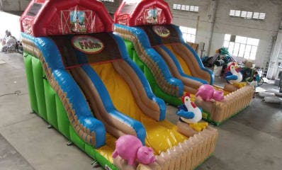 Children's Party Farm Dual Lane Slides