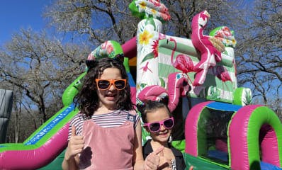 Flamingo Party Themed Rentals