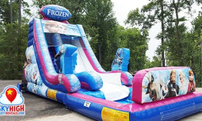 frozen child's birthday party slide