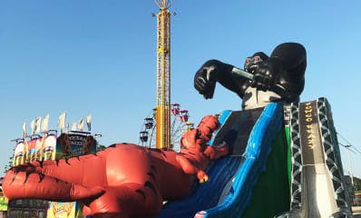King Kong Dinosaur Carnival Slide