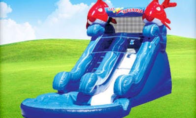 Inflatable Little Kahuna Slide
