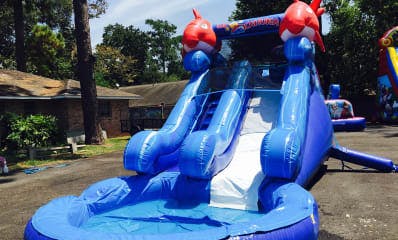 Front 2 fish Inflatable Slide