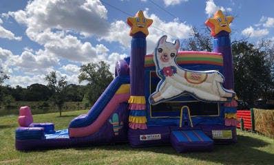 Llama Bounce House Party Rentals