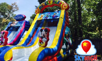 Mickey Wet Water Slide For Rent