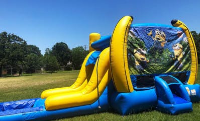 Minions Bounce House Rentals
