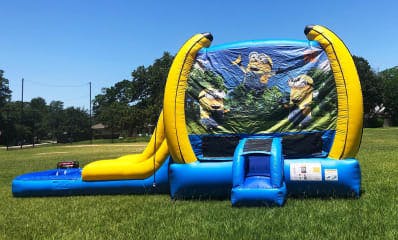 Houston, TX Minions Kids Parties For Hire