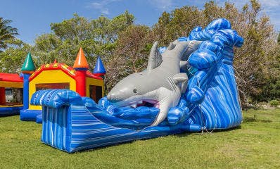 Shark Water Slide inflatable