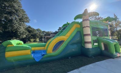 Palm Tree Combo Water Slide For Rent