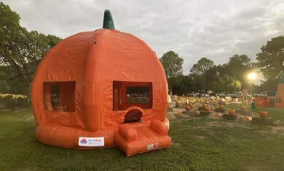 Pumpkin Festival