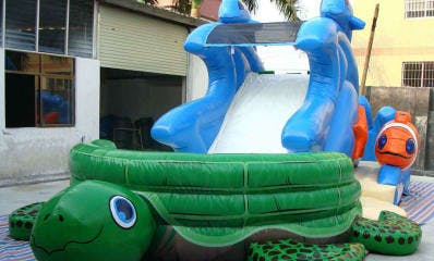 Front View of Water Slide