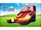 16ft Barbie (Wet/Dry) Slide Rentals