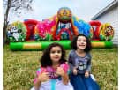 Animal Party Rentals