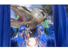 Alligator King Croc Water Slide Rentals