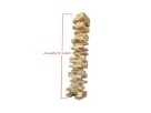 Jumbo Stacking Blocks carnival game rental in Dallas with 3-foot height potential, ideal for indoor or outdoor event venues