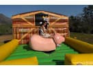 Kids Mechanical Pig