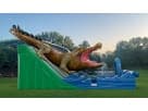 Alligator Bounce House Water Slide Rental