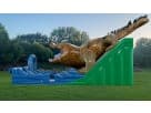 Alligator Bounce House Water Slide Rental