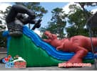 Kongo Crazy T-Rex Slide