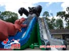 Houston T-Rex Slide