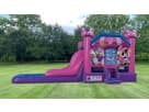 Minnie Mouse Inflatable Water Slide Rentals
