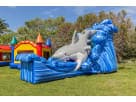 Shark Water Slide inflatable