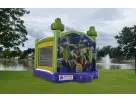 Ninja Turtles Bounce House