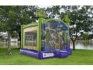 Perfect for Houston parties, this 13x13 Ninja Turtles bounce house rental features castle towers ideal for kids' events.