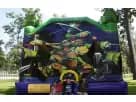 Ninja Turtles Moonwalk Rental