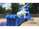 Shark Slide for Rent