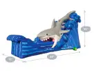 Shark Water Slide Dimensions