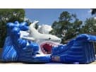 Front View of Shark Slide Rental