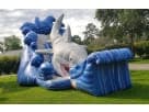 Shark Water Slide inflatable