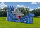 Shark Giant Water Slide for Rent