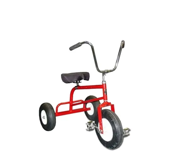Adult Tricycle Rental