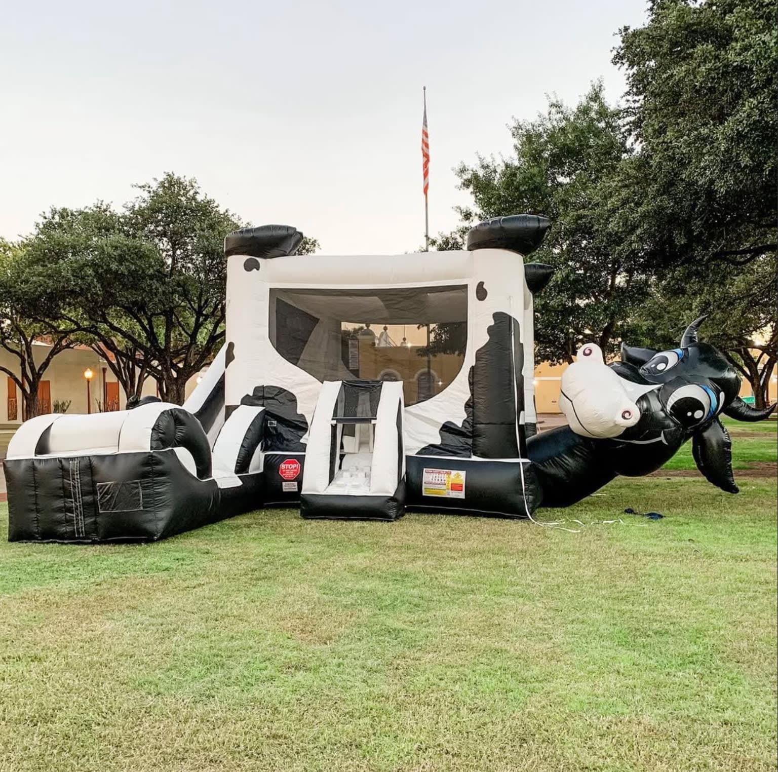 Texas 2 Step Party Cow Belly Bounce House