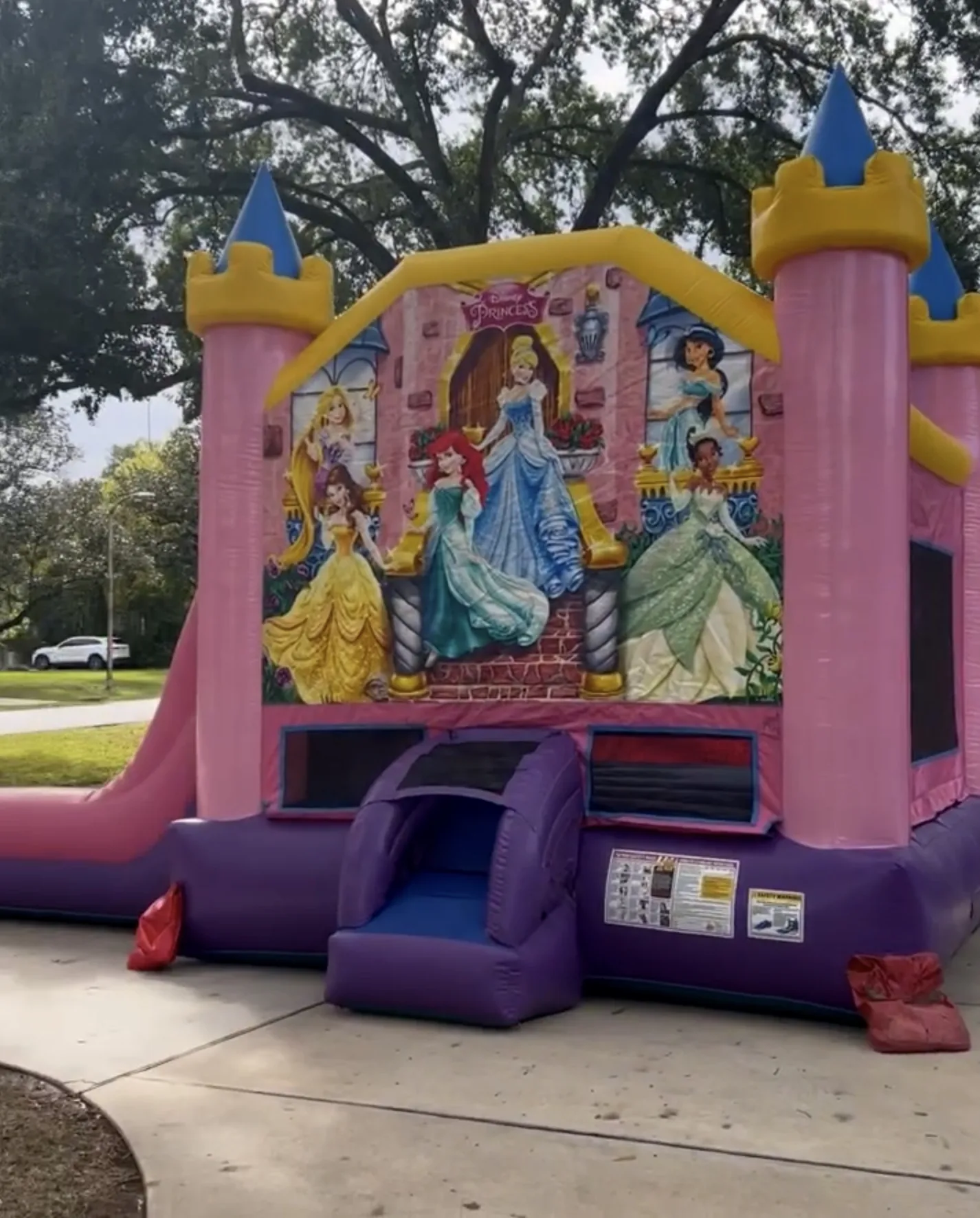 3 Year Old Princess Party