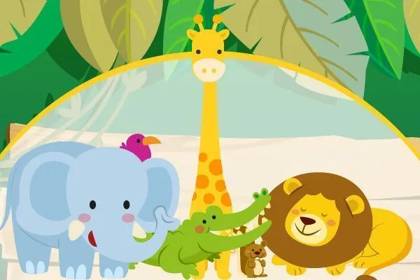 Animals